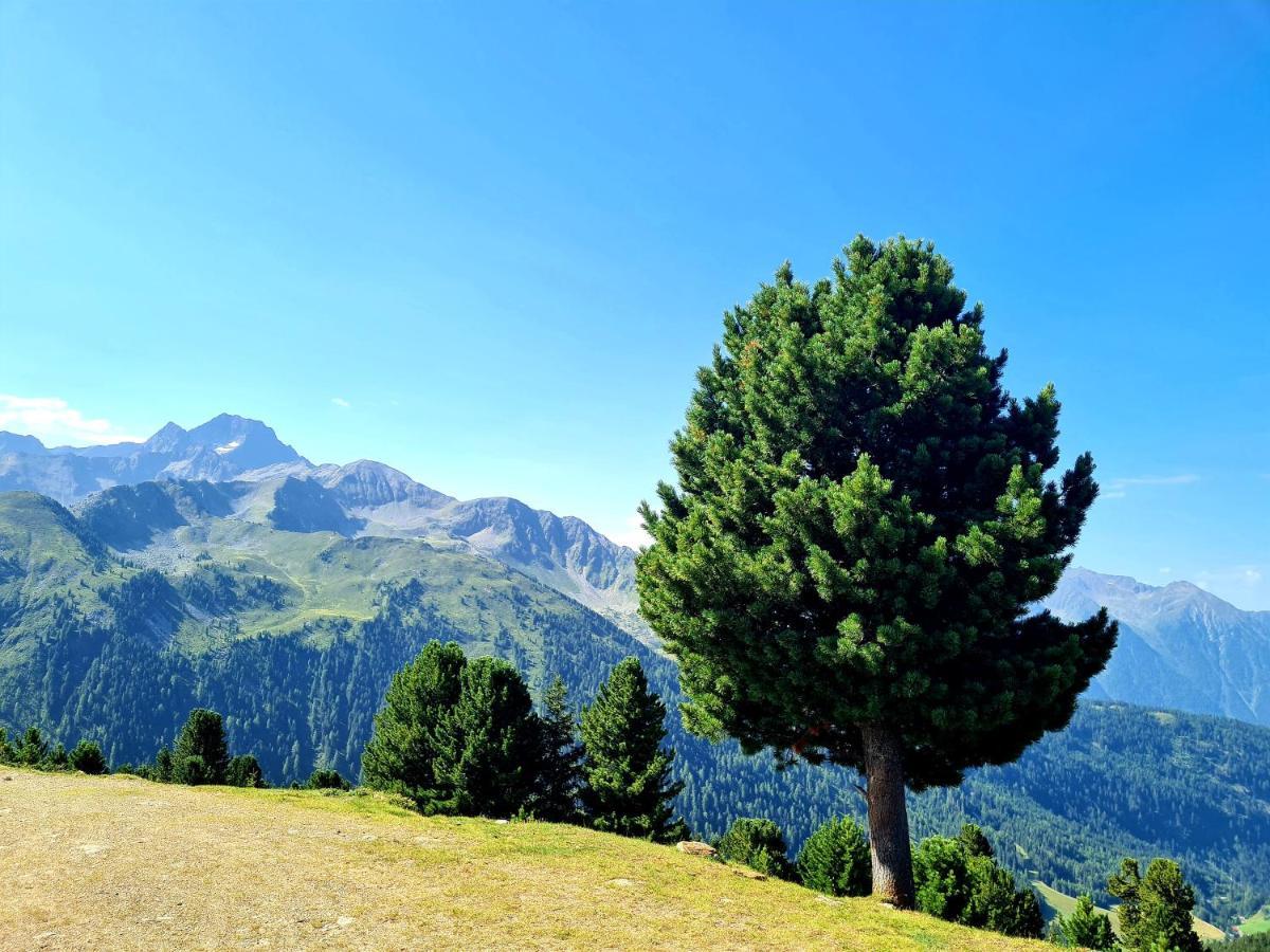 Bergnest Oetztal - Appartements Umhausen Εξωτερικό φωτογραφία