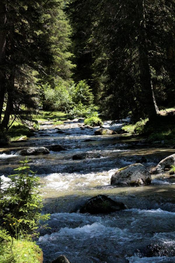 Bergnest Oetztal - Appartements Umhausen Εξωτερικό φωτογραφία